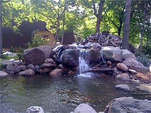 Photo 5