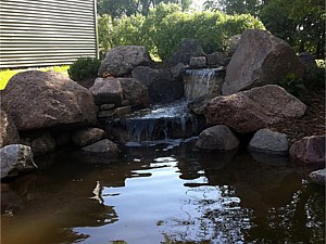 Photo 11