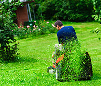 Lawn Care Brainerd, MN