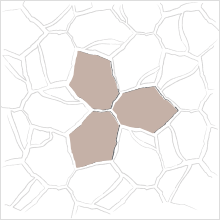 3 Stone Tessellated